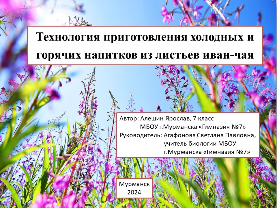 Иван-чайный бум от Алешина Ярослава: как приготовить идеальный холодный чай и согревающие напитки!.